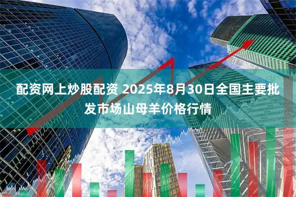 配资网上炒股配资 2025年8月30日全国主要批发市场山母羊价格行情