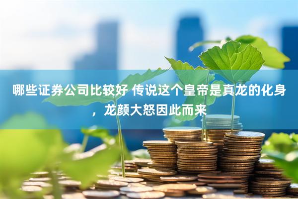 哪些证券公司比较好 传说这个皇帝是真龙的化身，龙颜大怒因此而来